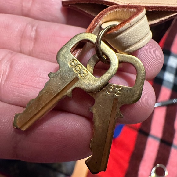 Authentic Louis Vuitton Alma BB in Monogram Microchip - Picture 12 of 14